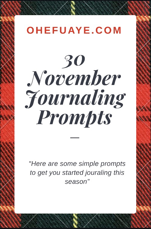 30 November Journal Prompts - OhEfuaye